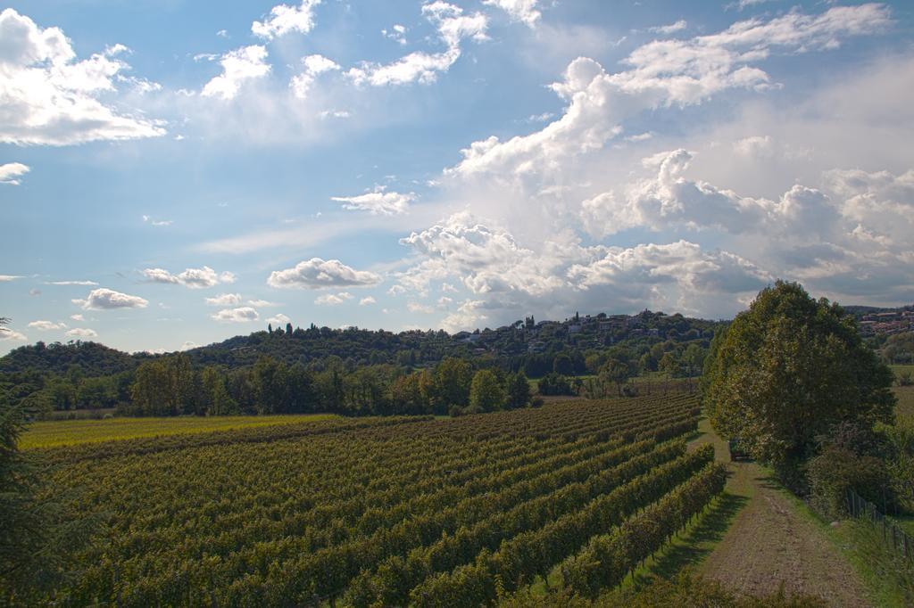 Il Vigneto Affittacamere Манерба-дель-Гарда Экстерьер фото